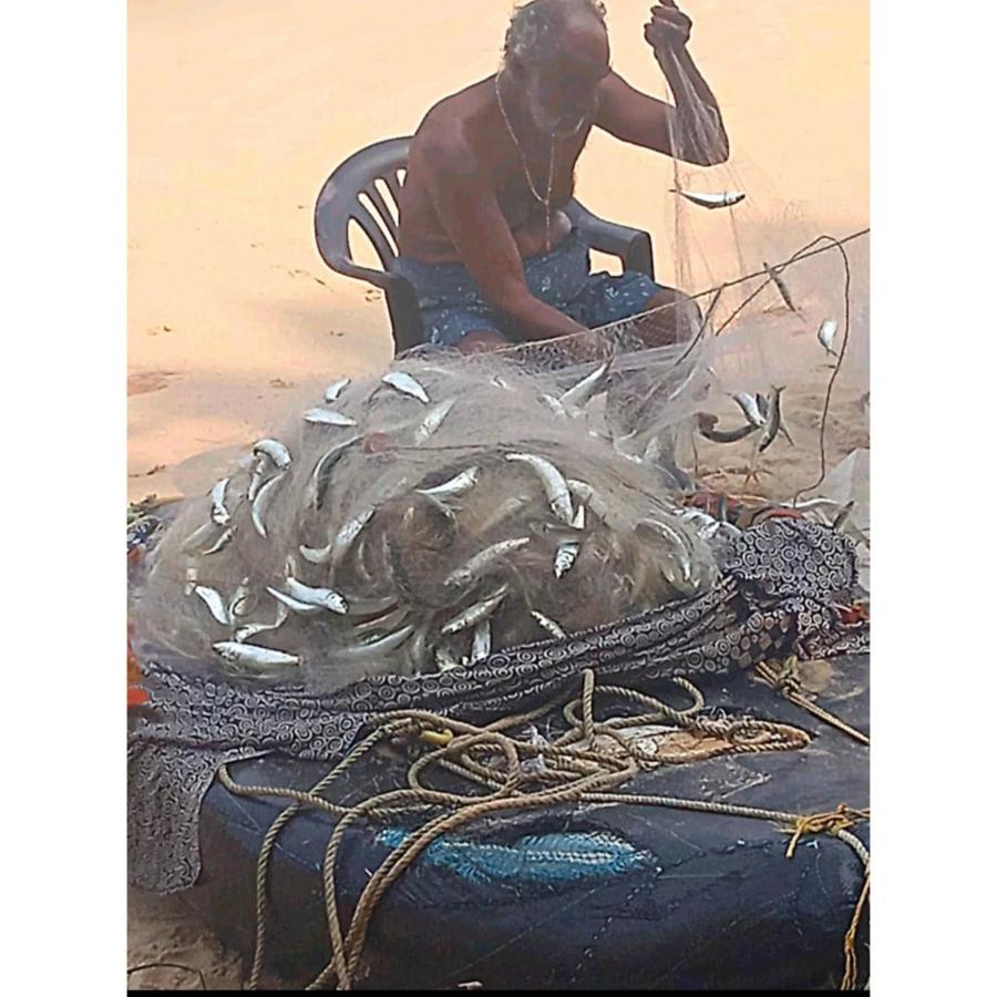 Marari sibiya beach villa Mararikulam Dış mekan fotoğraf